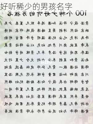 好听稀少的男孩名字