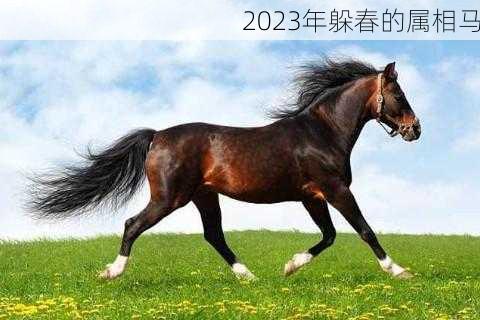 2023年躲春的属相马