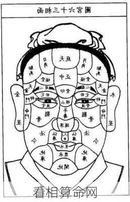 看相算命网