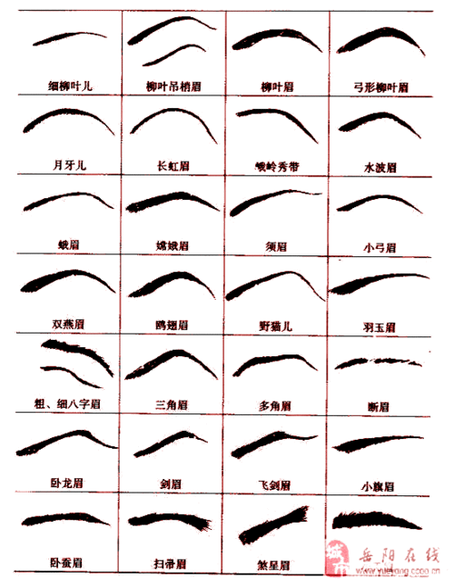 面相 眉毛 图解