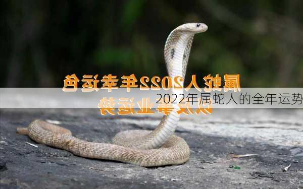 2022年属蛇人的全年运势