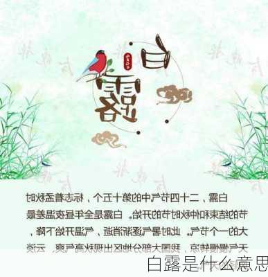 白露是什么意思