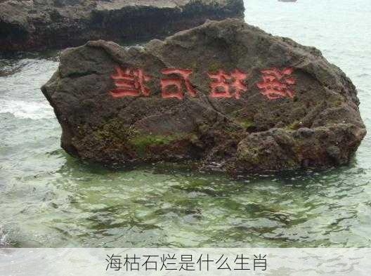 海枯石烂是什么生肖