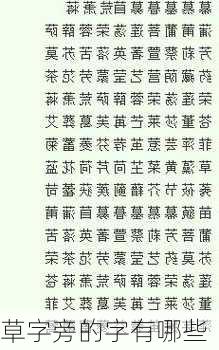 草字旁的字有哪些