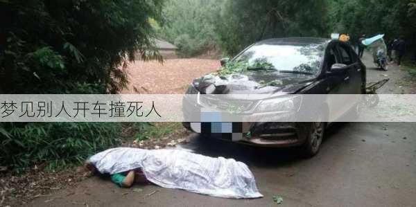 梦见别人开车撞死人