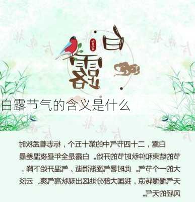 白露节气的含义是什么