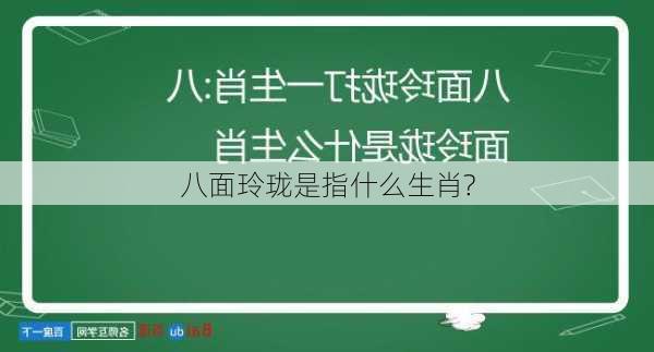 八面玲珑是指什么生肖?