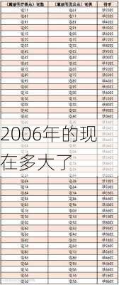 2006年的现在多大了