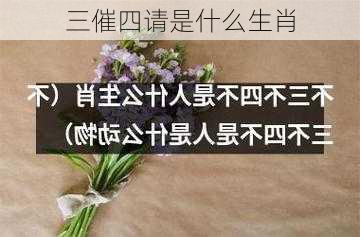 三催四请是什么生肖