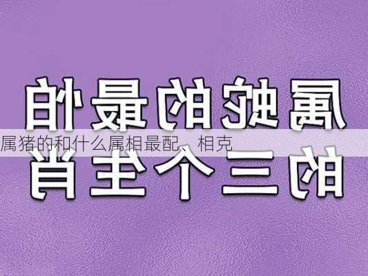 属猪的和什么属相最配、相克