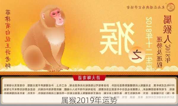 属猴2019年运势