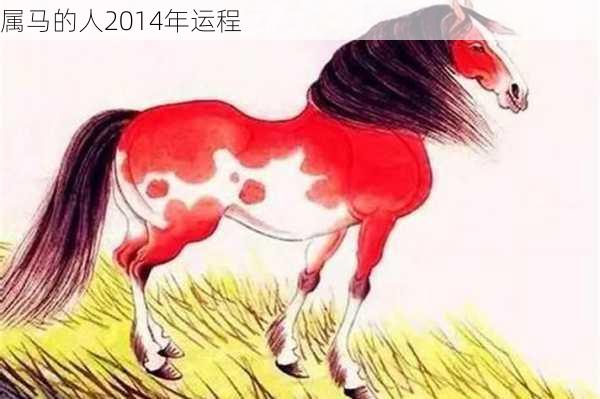 属马的人2014年运程