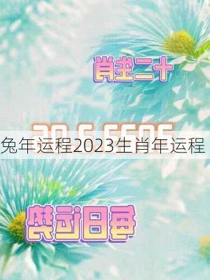 兔年运程2023生肖年运程