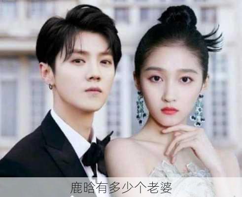 鹿晗有多少个老婆