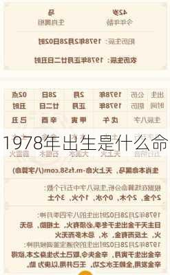 1978年出生是什么命