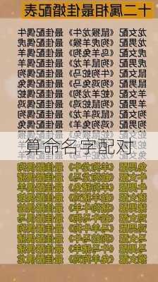 算命名字配对