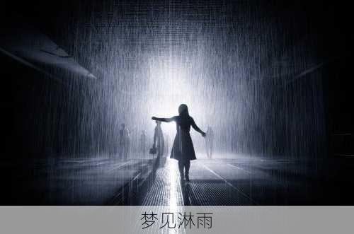 梦见淋雨