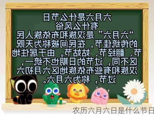 农历六月六日是什么节日