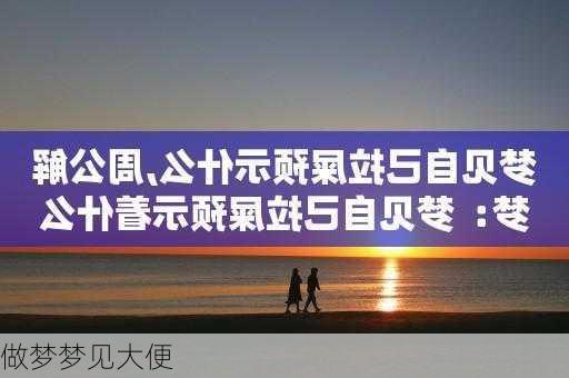 做梦梦见大便