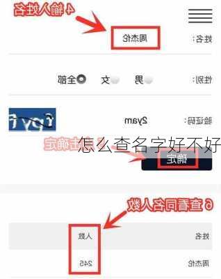 怎么查名字好不好