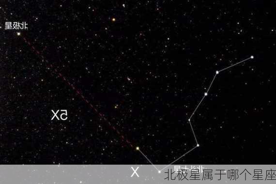 北极星属于哪个星座