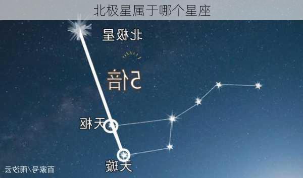 北极星属于哪个星座