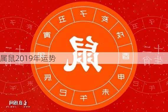 属鼠2019年运势