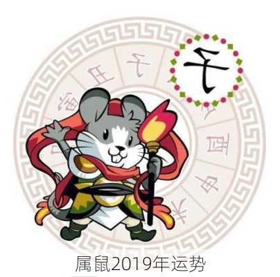 属鼠2019年运势