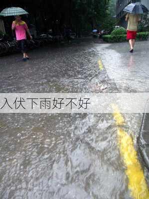 入伏下雨好不好