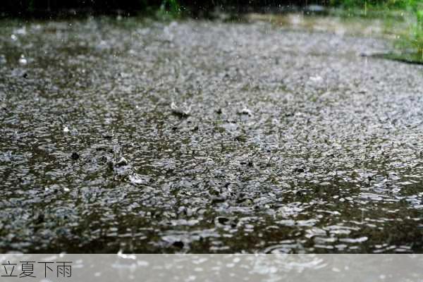 立夏下雨