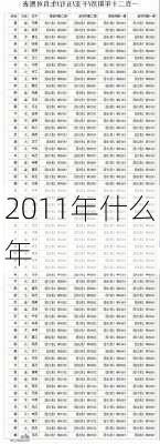 2011年什么年