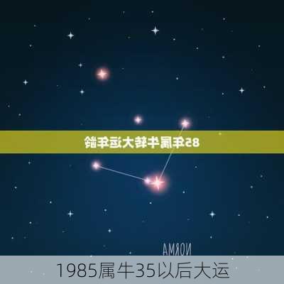 1985属牛35以后大运