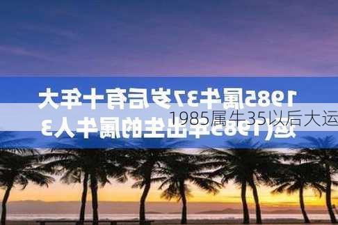 1985属牛35以后大运