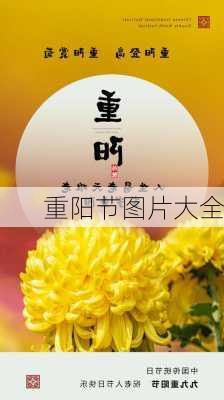 重阳节图片大全