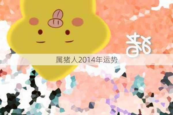 属猪人2014年运势