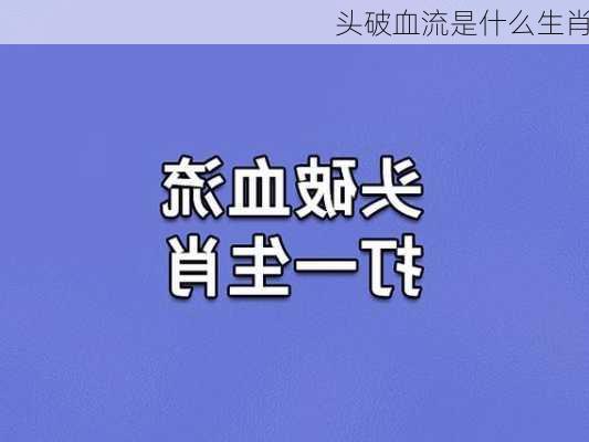 头破血流是什么生肖