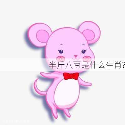 半斤八两是什么生肖?