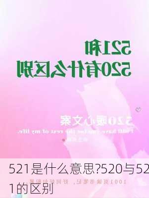 521是什么意思?520与521的区别