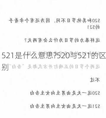 521是什么意思?520与521的区别