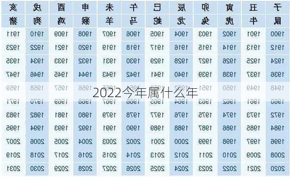 2022今年属什么年