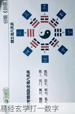 易经玄学打一数字