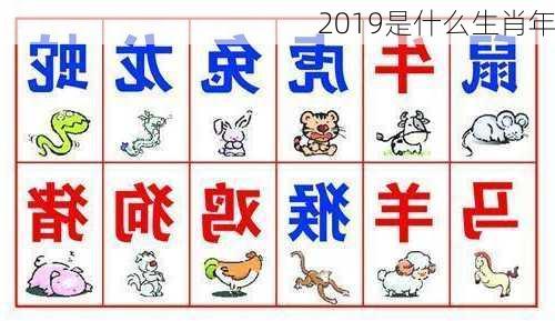 2019是什么生肖年