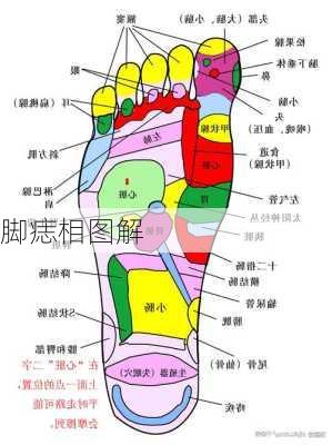 脚痣相图解