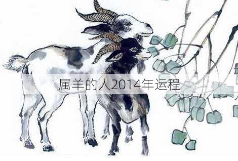 属羊的人2014年运程