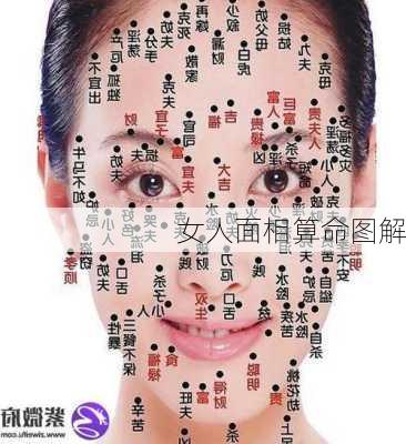 女人面相算命图解