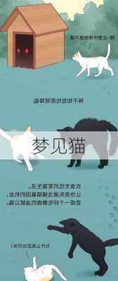 梦见猫