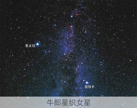 牛郎星织女星