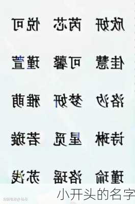 小开头的名字