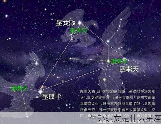 牛郎织女是什么星座