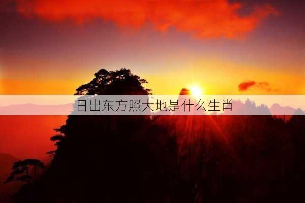 日出东方照大地是什么生肖